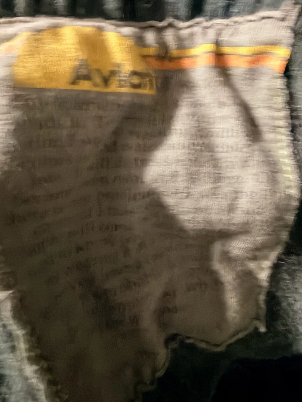 Aviator Nation charcoal grey Lightning Bolt sweat Pants - Picture 7 of 10